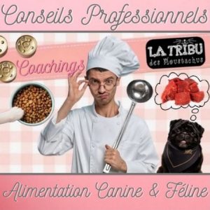 top categorie coachings la tribu des moustachus