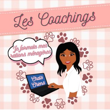 coachings-la-tribu-des-moustachus