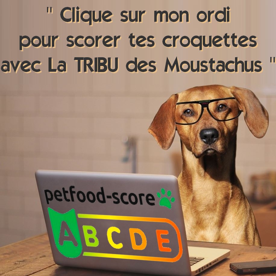 petfood score abcde