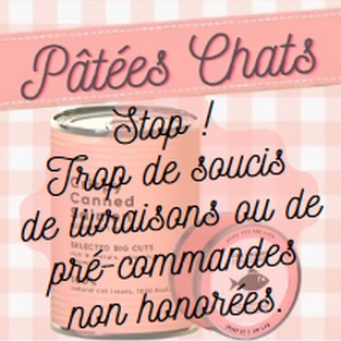 patees-chats-stop-la-tribu-des-moustachus